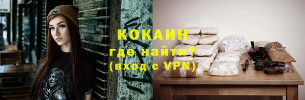 дживик Майский