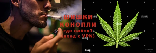 дурь Богородицк
