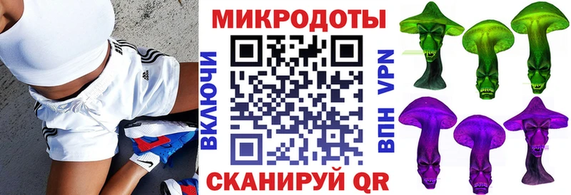 Галлюциногенные грибы Psilocybe  купить наркотики сайты  Бокситогорск 